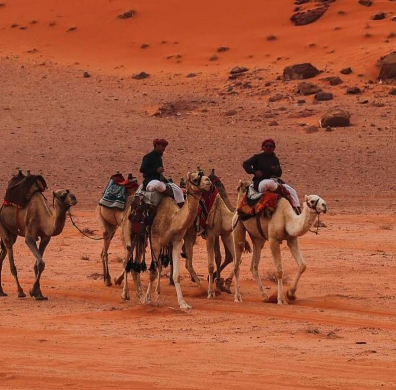 Bedouin Bunch Camp Hotel Wadi Rum Exterior photo