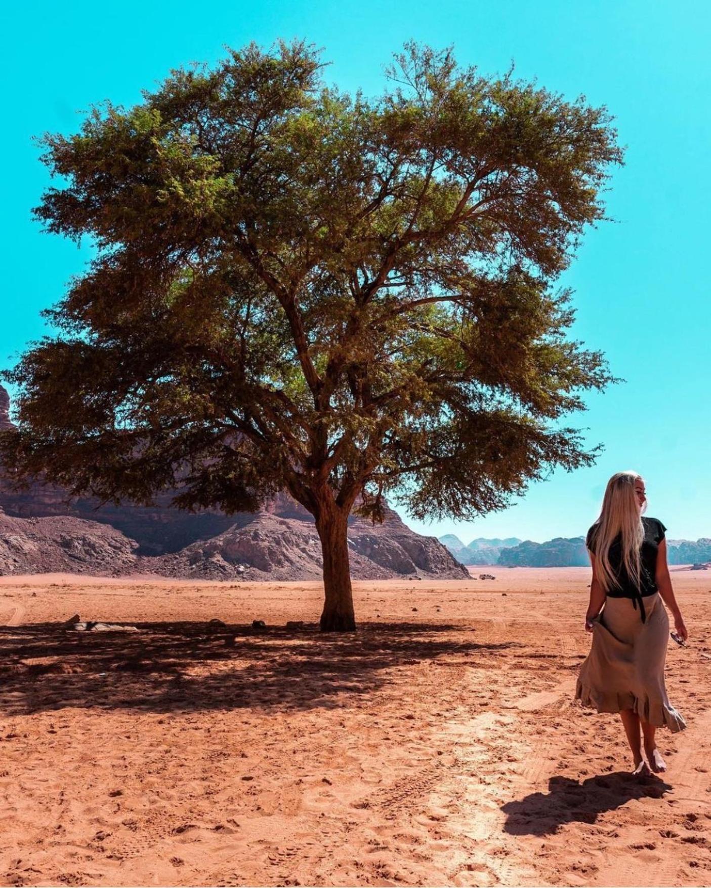 Bedouin Bunch Camp Hotel Wadi Rum Exterior photo