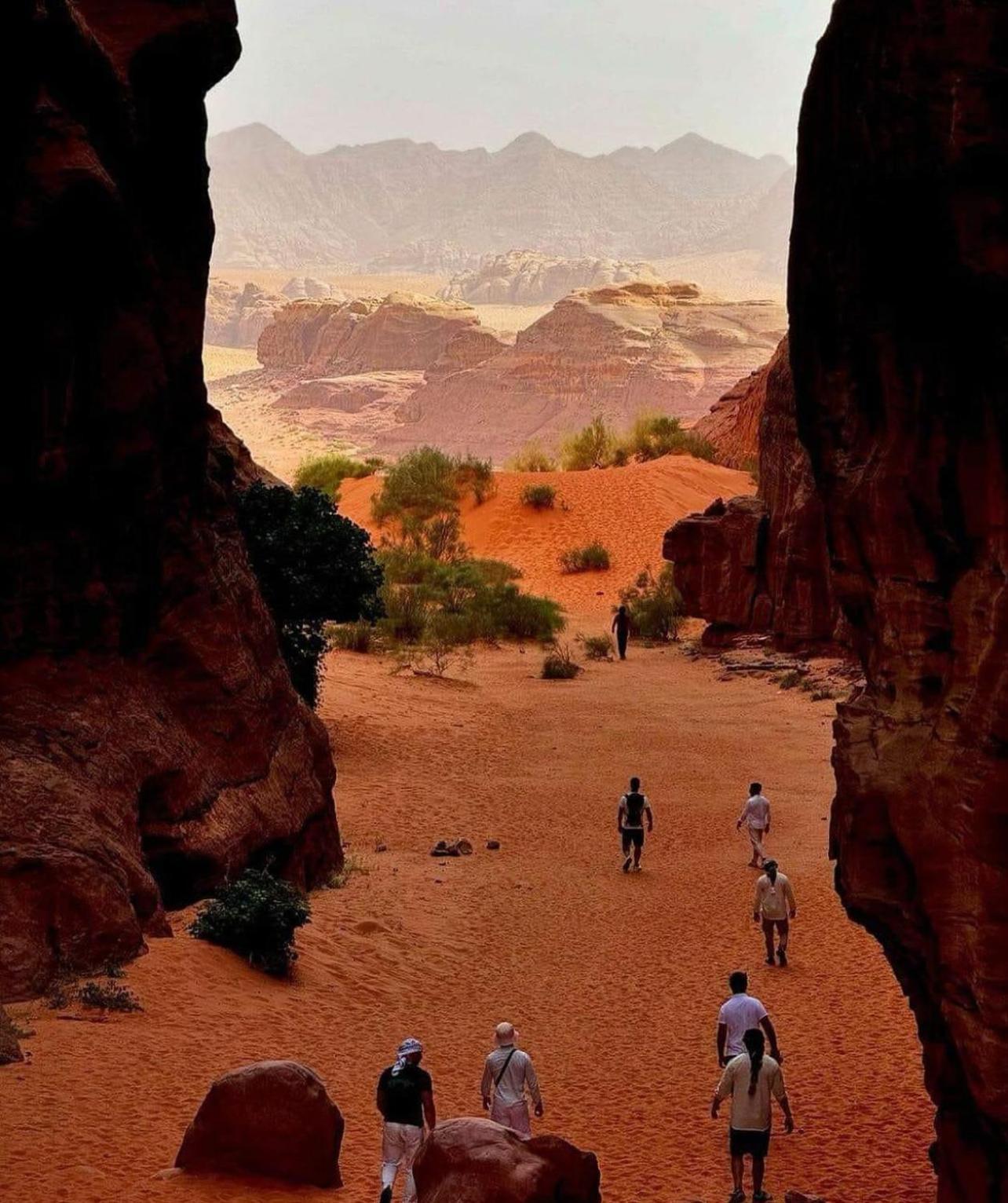 Bedouin Bunch Camp Hotel Wadi Rum Exterior photo